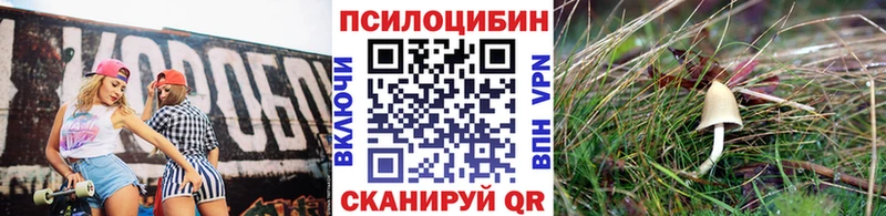Купить Качканар Галлюциногенные грибы мицелий